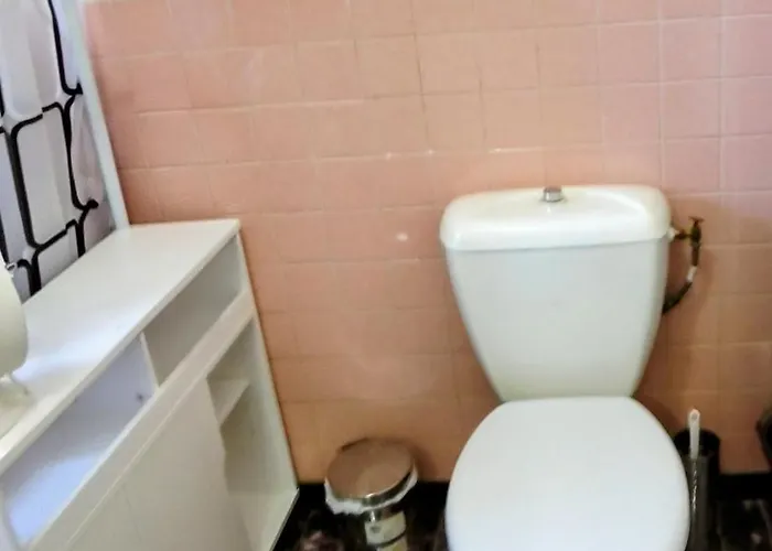 Semesterbostad La Maison De La Majore Au Pied De La Cite Carcassonne