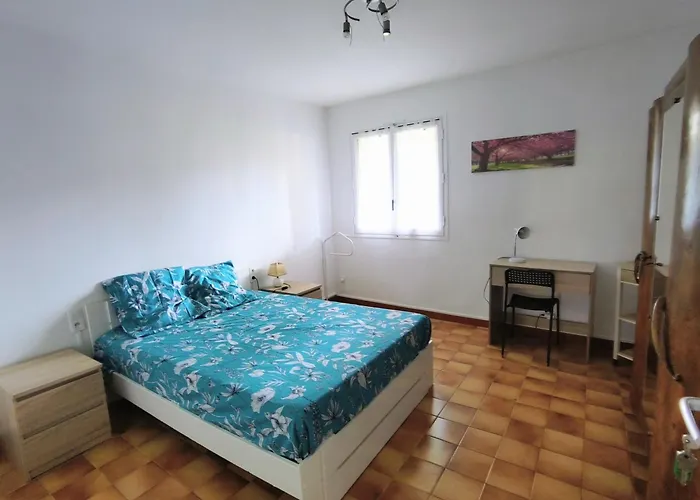 Semesterbostad La Maison De La Majore Au Pied De La Cite Carcassonne